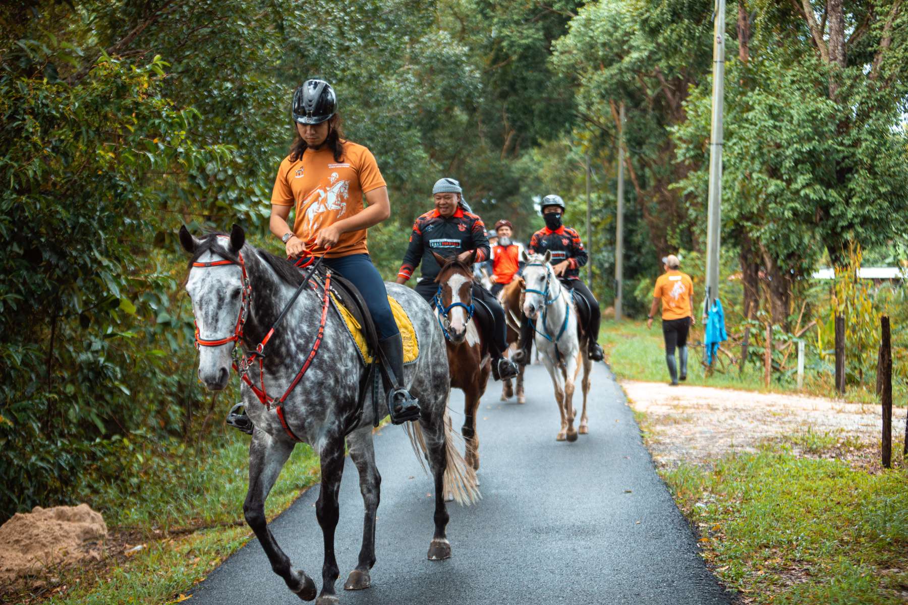 Galeri V2 - High Chaparral Stable 10