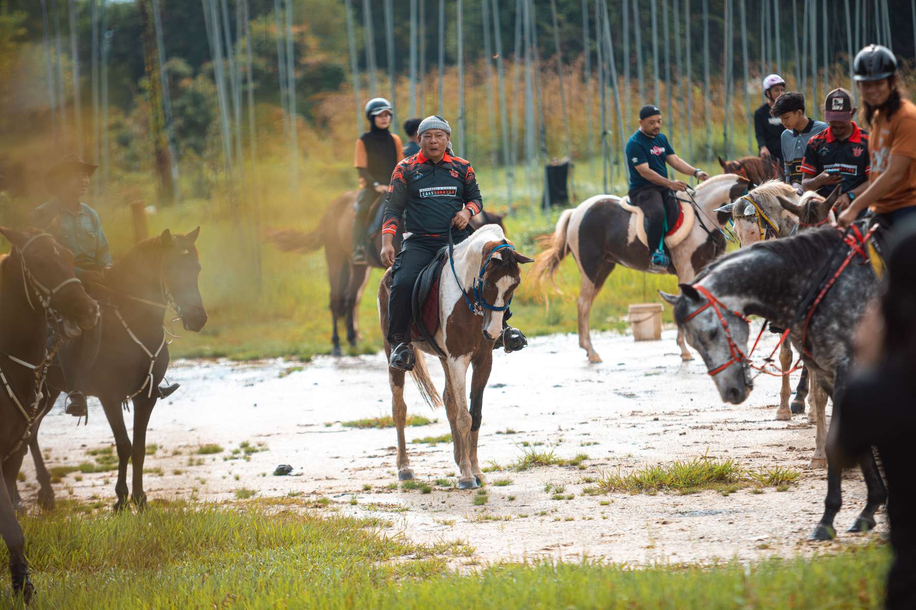 Galeri V2 - High Chaparral Stable 11