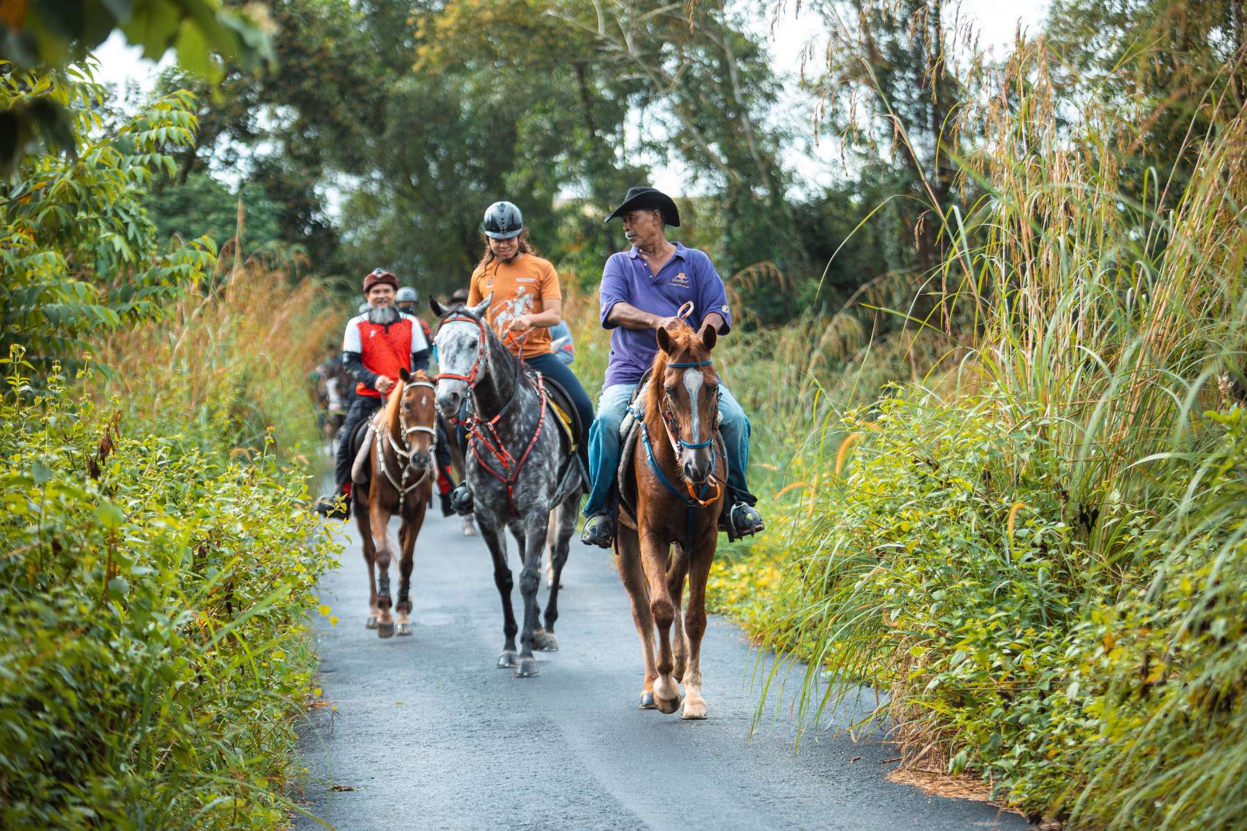 Galeri V2 - High Chaparral Stable 12