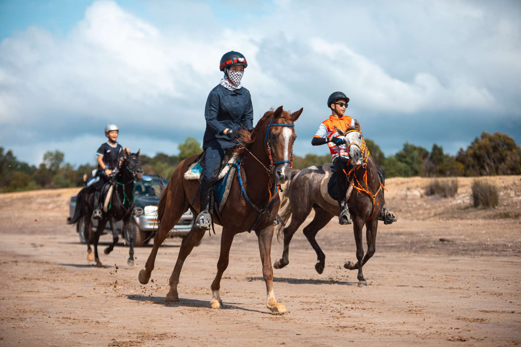 Galeri V2 - High Chaparral Stable 18