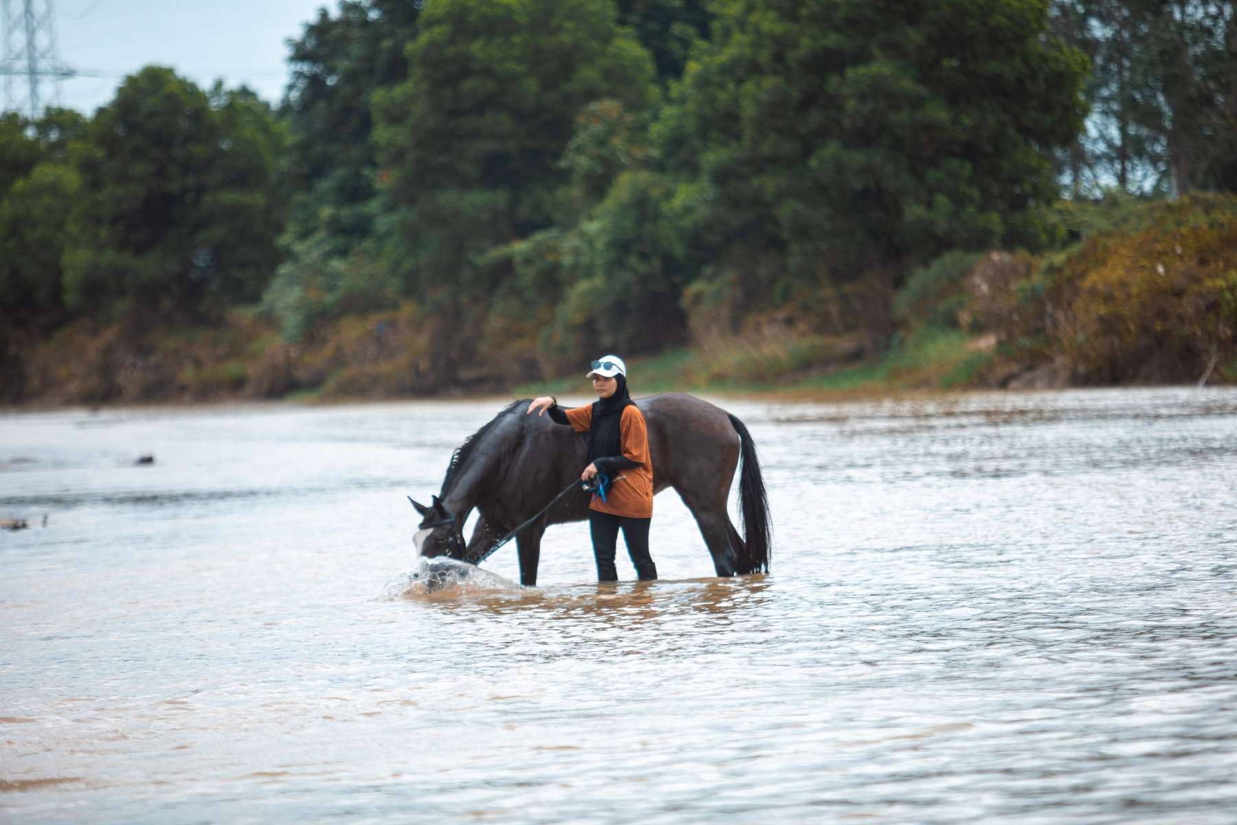 Galeri V2 - High Chaparral Stable 19