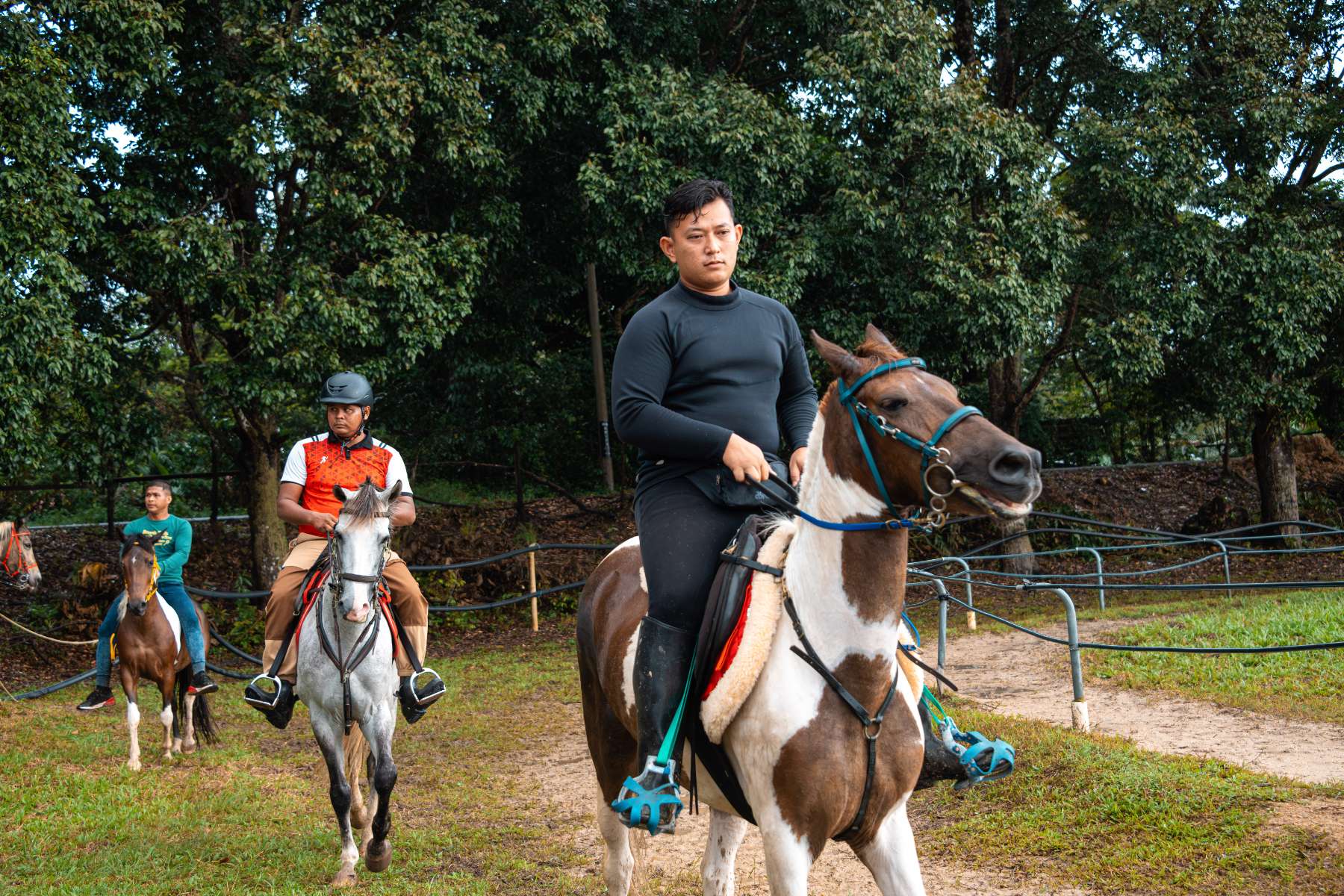 Galeri V2 - High Chaparral Stable 2