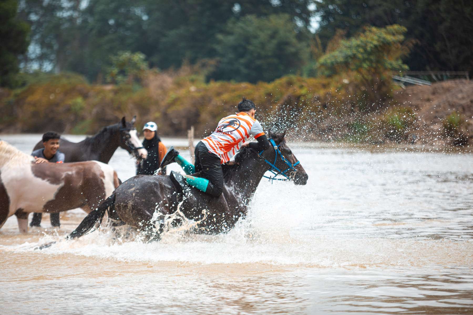 Galeri V2 - High Chaparral Stable 20