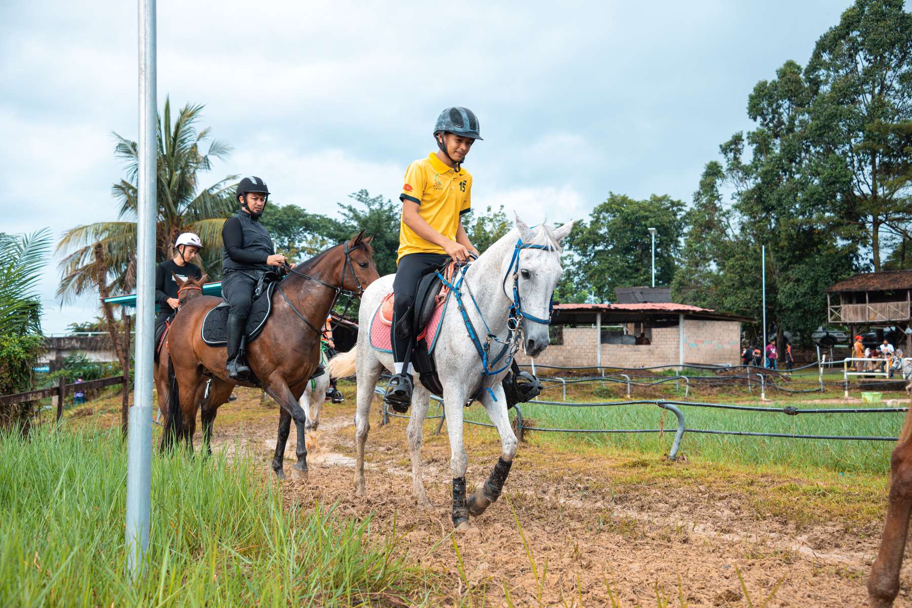 Galeri V2 - High Chaparral Stable 4