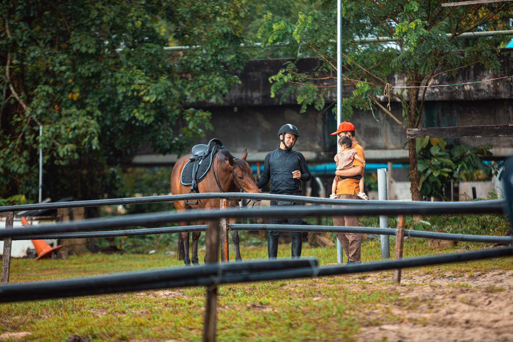 Galeri V2 - High Chaparral Stable 6