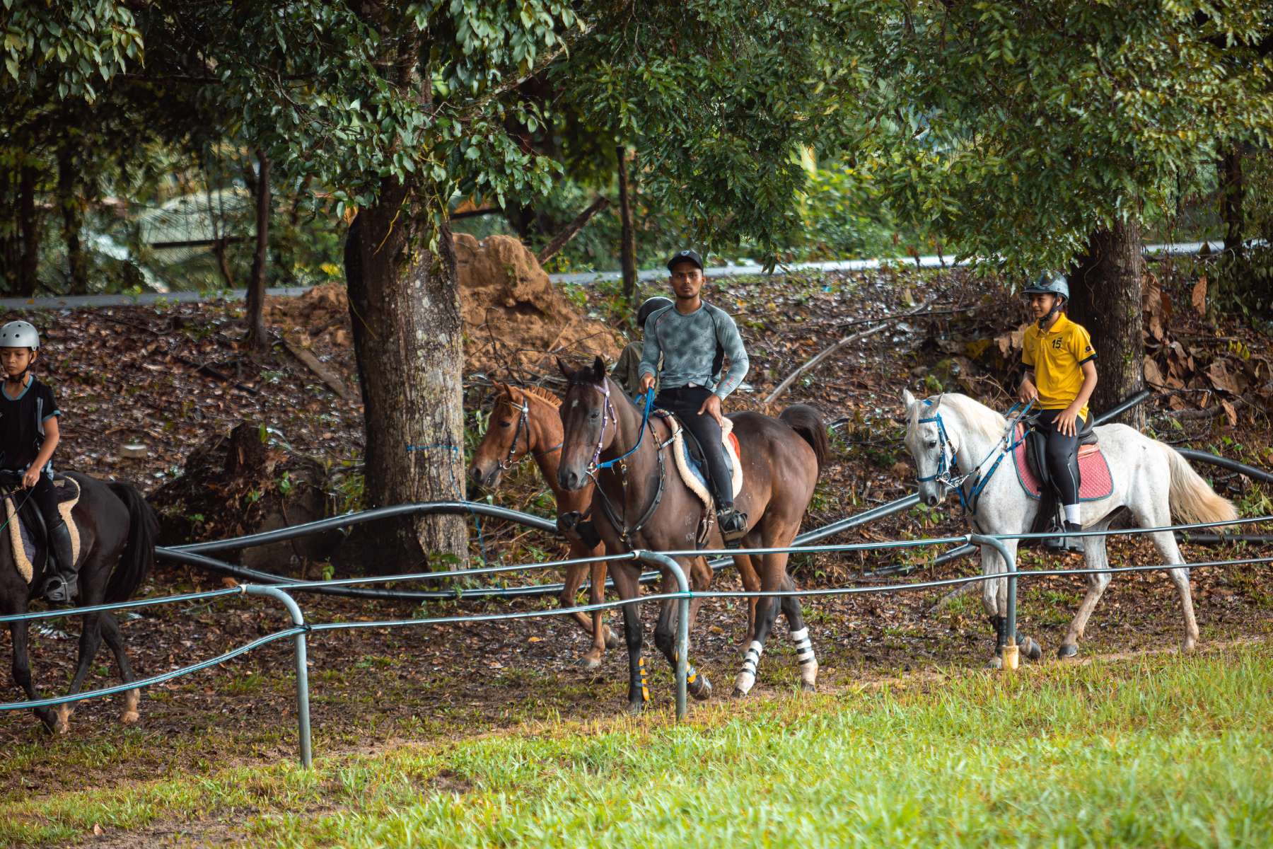 Galeri V2 - High Chaparral Stable 7