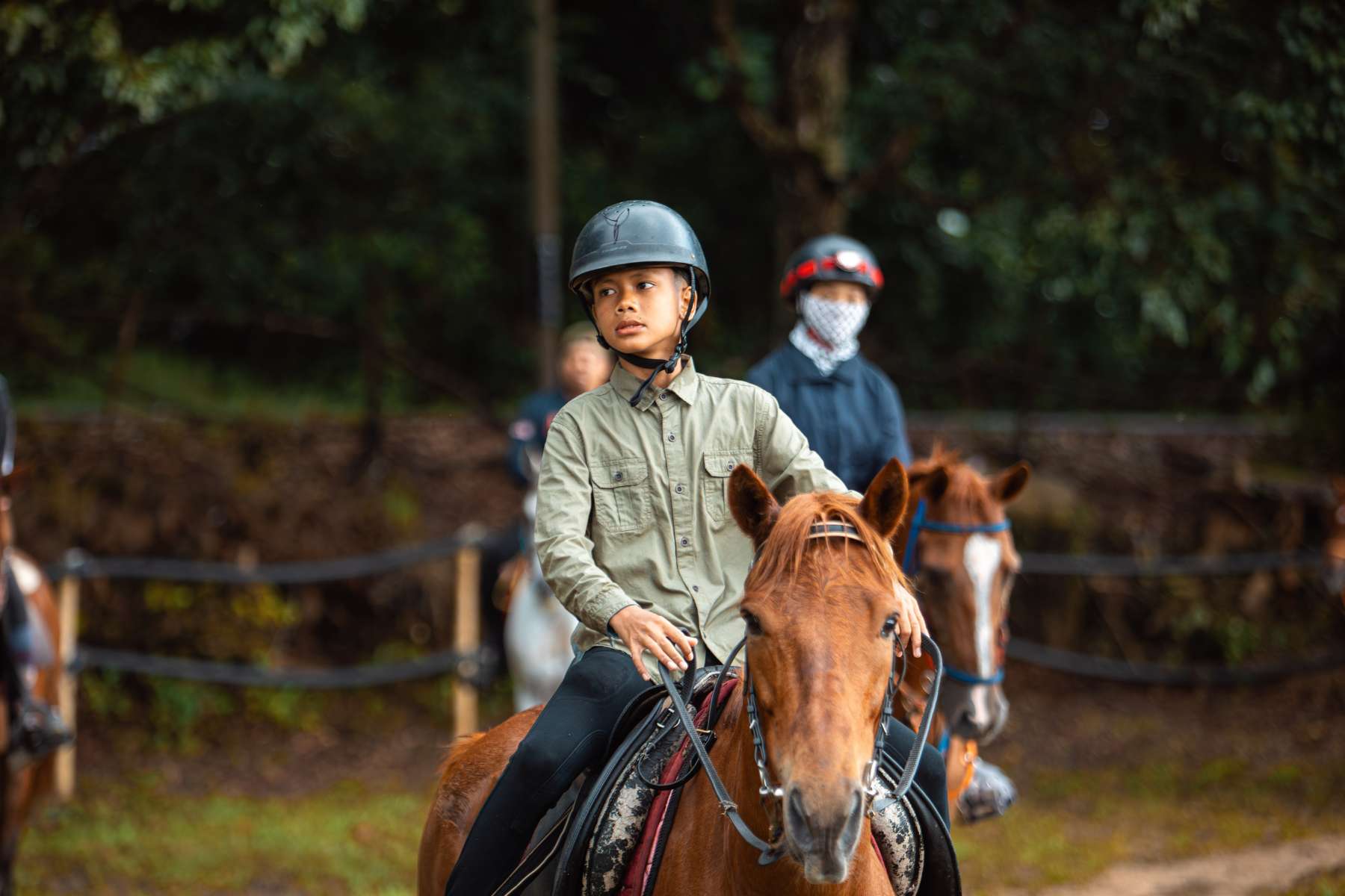 Galeri V2 - High Chaparral Stable 8