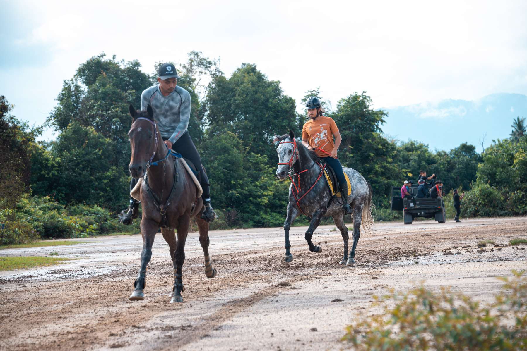 Galeri V2 - High Chaparral Stable 9